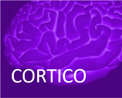Logo CORTICO.